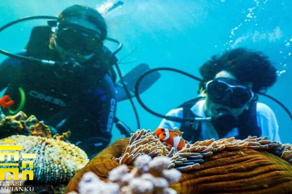 Menyelam di Malta: Destinasi untuk Penyelam di Mediterania